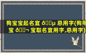 狗宝宝起名宜 🌵 忌用字(狗年宝 🐬 宝取名宜用字,忌用字)